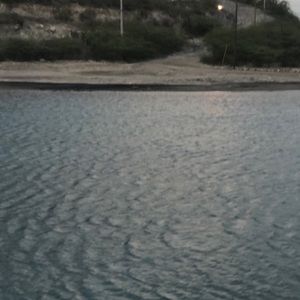 Meet your Posher, Isabel